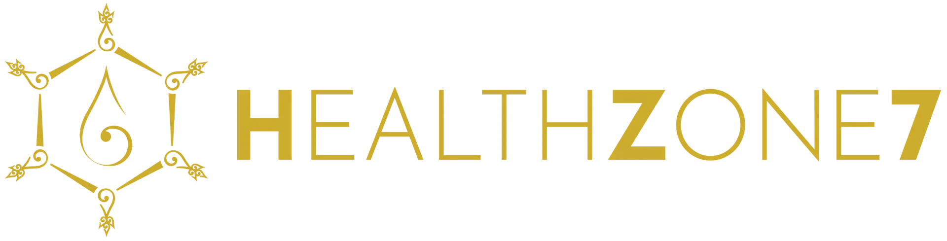 HEALTHZONE7 Logo - Zur Startseite